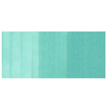 Mint Green BG13 Copic Ciao Marker