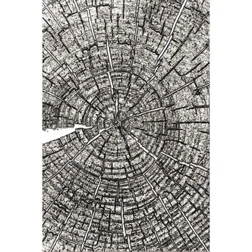 Tree Rings by Tim Holtz 3D Sizzix Texture Fade