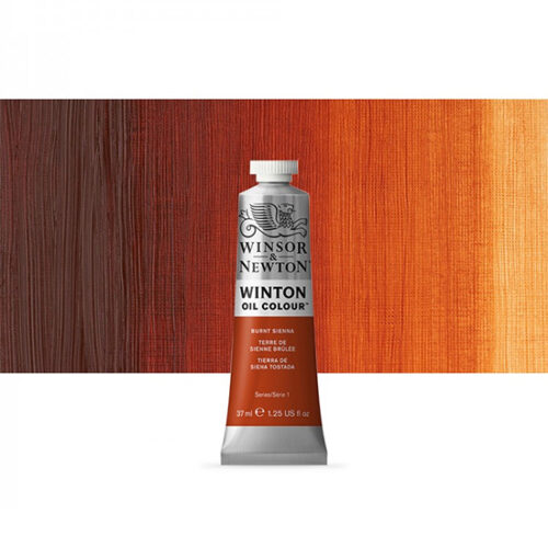 Burnt Sienna Winton Oil Paint 37ml