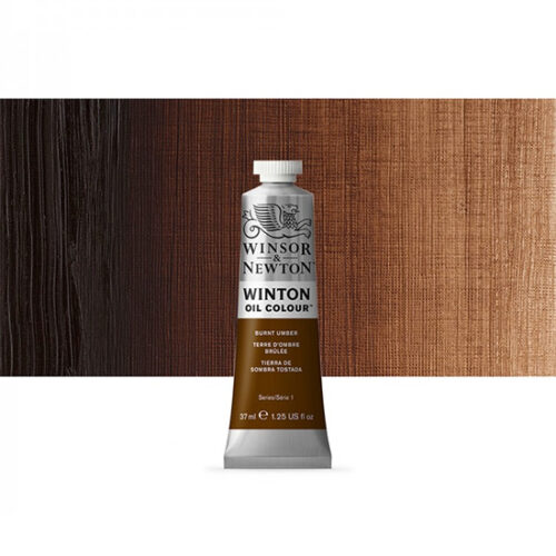 Burnt Umber Winton Oil Paint 37ml