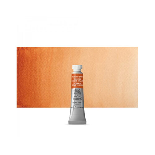 Burnt Sienna S1 Winsor & Newton Artist Watercolour 5ml