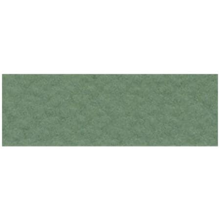 Moss Green (Muschio) Fabriano Pastel Paper 50 x 65