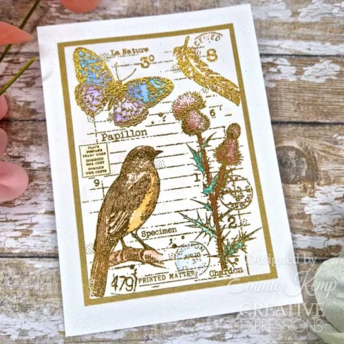 A greeting card was made using the Nature Page Woodware Clear Stamp Set. The background is white and the stamp has been stamped and embossed using a gold colour and the image has been coloured in.